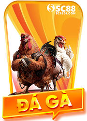 img Đá gà