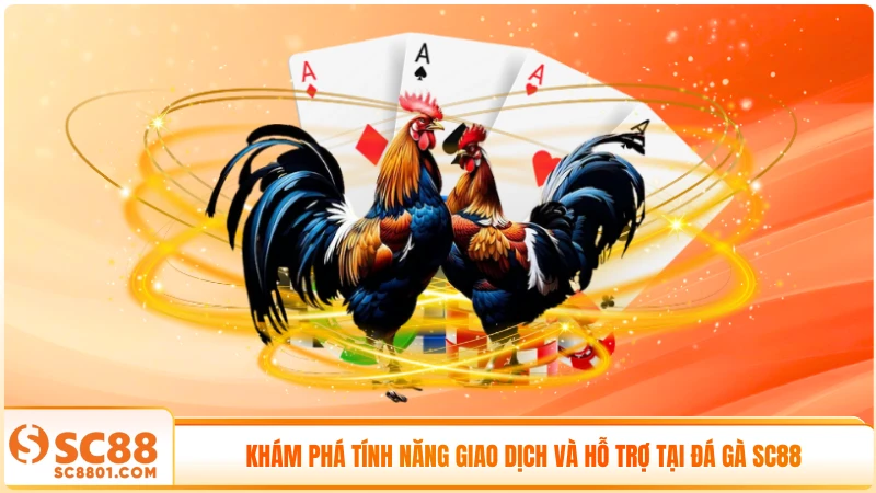 Khám phá tính năng giao dịch và hỗ trợ tại đá gà SC88
